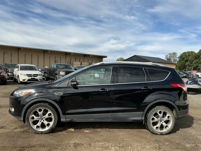Used 2016 FORD ESCAPE SUVs Michigan US | Miedema Asset Management Group #1476850