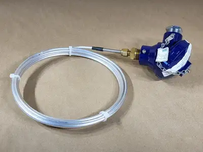 12' Averaging RTD Sensor