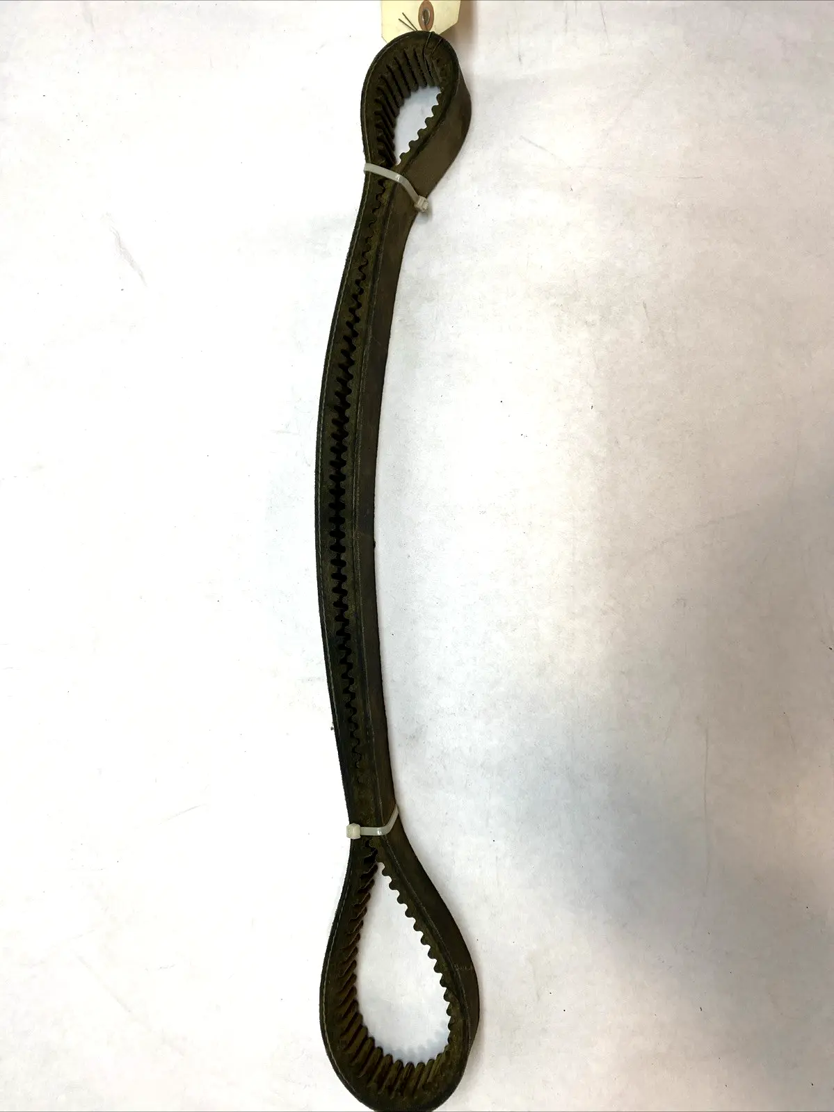 1922V454 | Toothed Belt - New Other