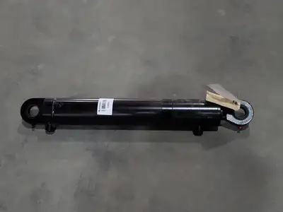 Hydraulic Cylinder 100028168