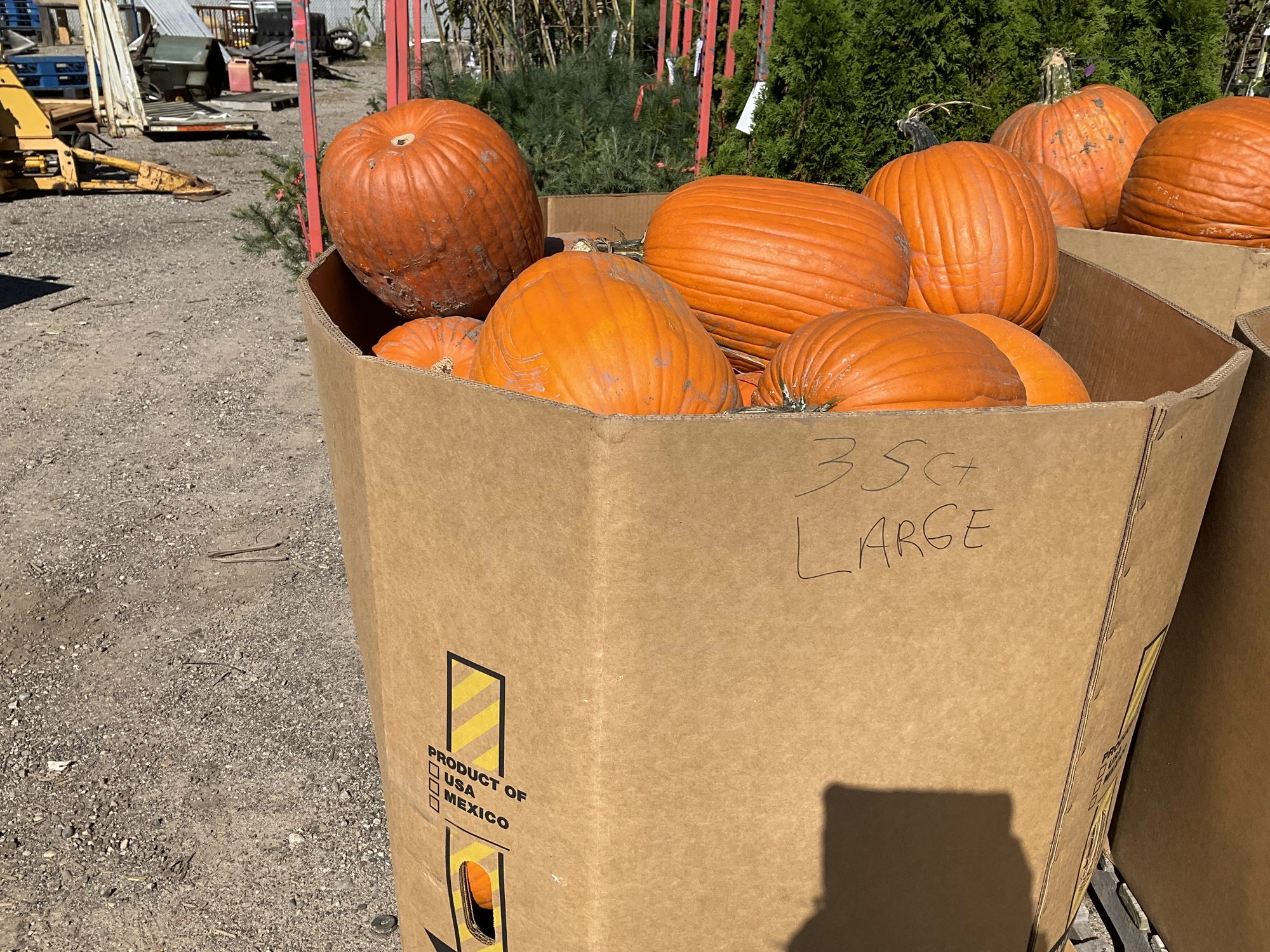 Used _UNKNOWN_ _UNKNOWN_ Farm Supplies Michigan US | Miedema Asset Management Group #1483476