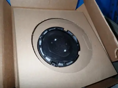 Horn Strobes