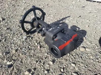1" Class 800 Gate Valve API 602