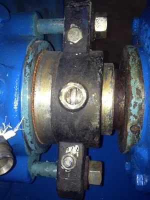 USED Goulds 3175