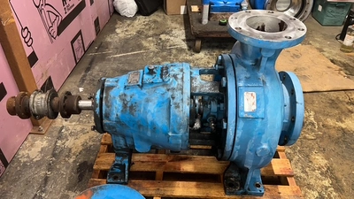 USED Goulds 3175