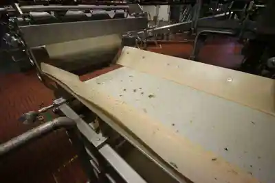 34 " wide ss conveyor