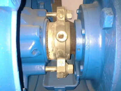 USED Goulds 3175