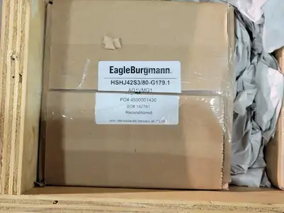 NEW EAGLE BURGMANN HSHJ42S3/80-G179.1