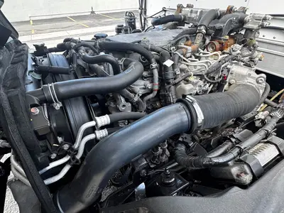 Used 2019 ISUZU NQR Reefer Trucks Florida US | Truck and Van Outlet #1509194
