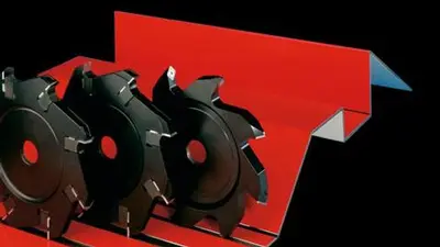 Striebig 4D