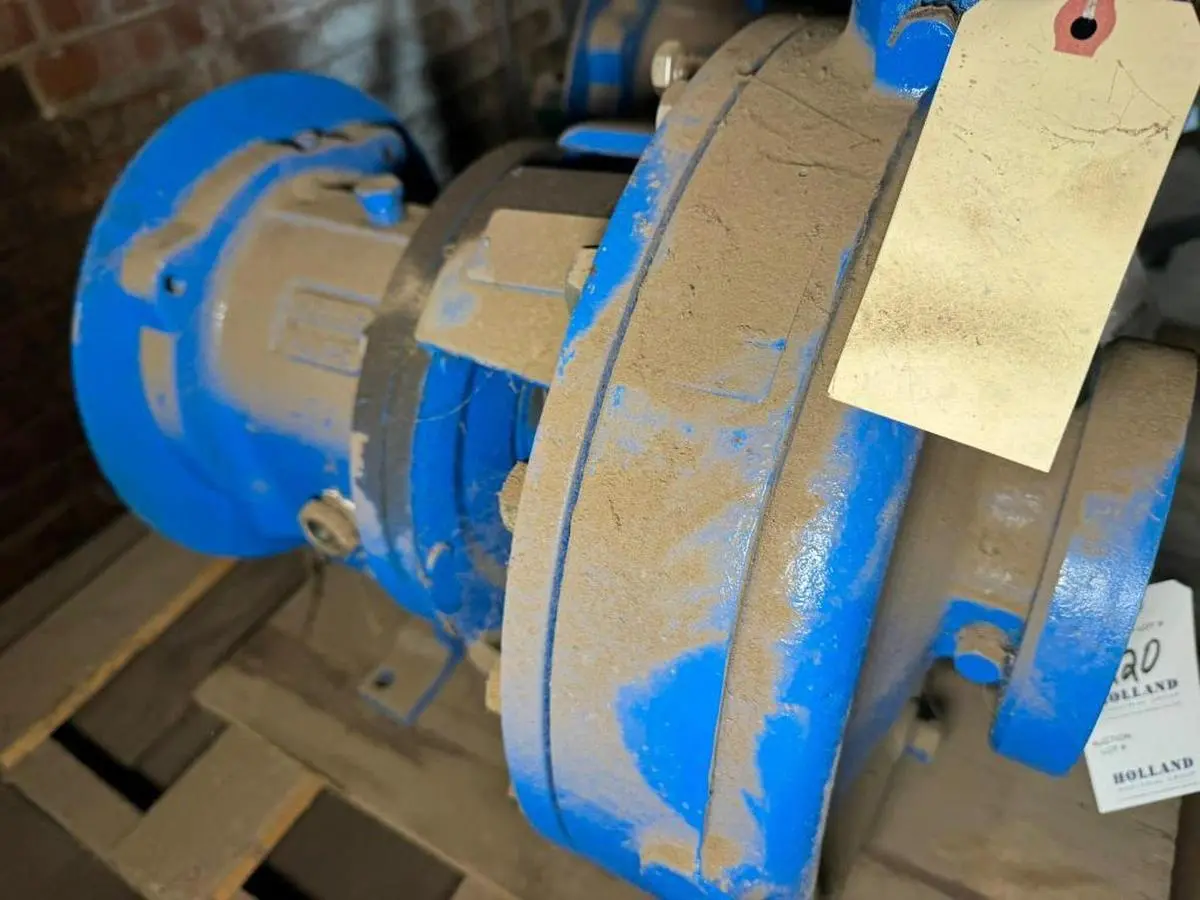 USED GOULD 3196