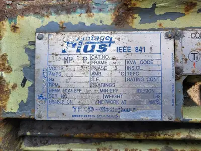 250 hp, 4000 volts, 1780 rpm, 5007C, Electric Motor