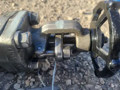 1" Class 800 Globe Valve API 602