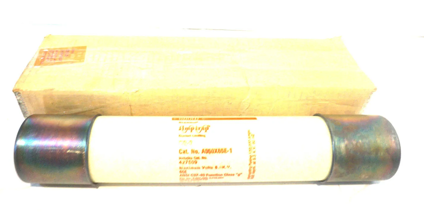 NEW GOULD SHAUMUT A550X65E-1 FUSE CS-3 A550X65E1