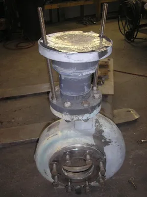 USED GOULDS 3196