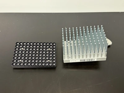 Used Thermo Fisher Scientific 24079920 ,24075920 Microplate Washers / Handlers Missouri US | BioLabTek #1384090