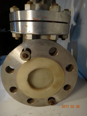Takawasima 3", Class 300, CF8, Gate Valve