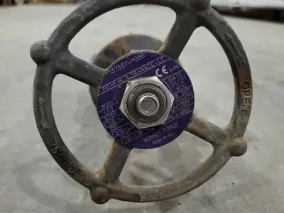 USED BONNEY FORGE HL 1L3S-NACE-LE