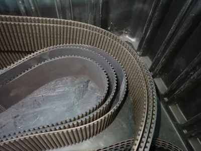 Timing Belts