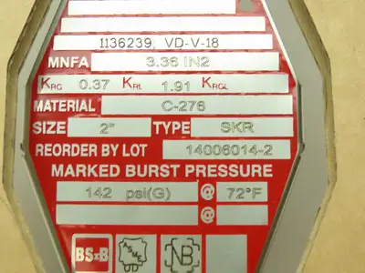 BS&B Safety Systems 1136239; VD-V-18 Rupture Disk 2" Type SKR 142 PSIG @ 72°F