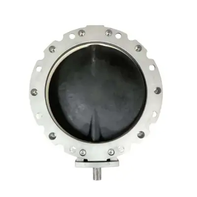 Belgrade 10″ BUTTERFLY VALVE Wam Accessories | Iron Listing (2)