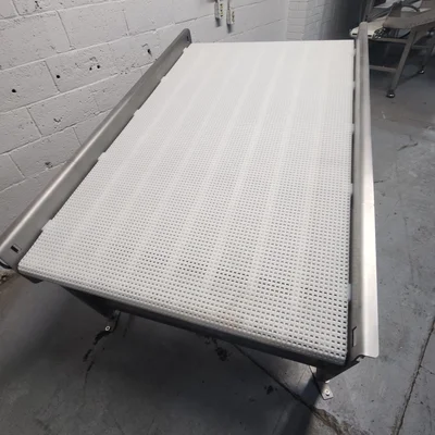 LACAL Sanitary Stainless steel conveyor Conveyor Elevator # 5572