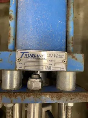 USED TRUELINE, VELAN , SMC SIZES 3",4",6",8"