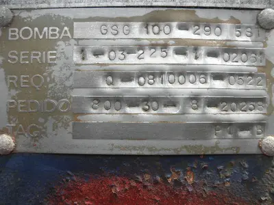 USED SULZER BINGHAM GSG-100-290/5ST