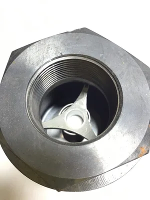 Bivco Circle Seal 4024C00V-0.5S Check Valve 1-1/2″ FPT IN-LINE SPRING