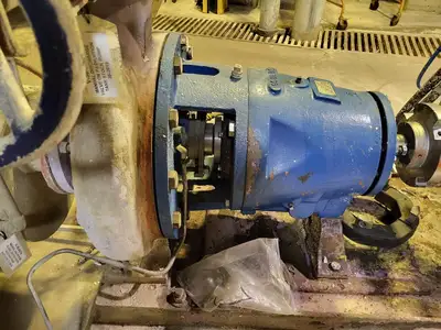 USED GOULDS 3175