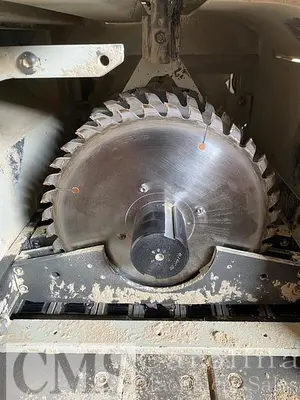 USED MEREEN JOHNSON MODEL 312 DC SHIFTING BLADE RIP SAW