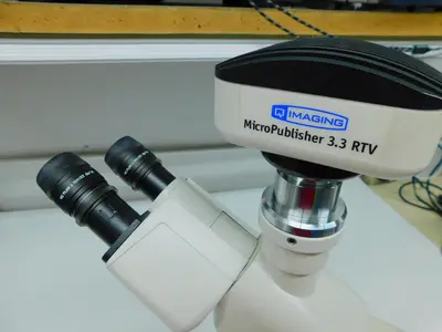 Used LEICA DM1000 Miscellaneous Laboratory Equipment Texas US | Aucto #1453333
