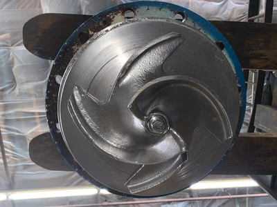USED Goulds 3175