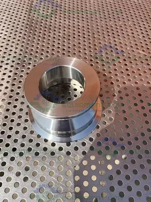 NEW CHEMGLASS TH-3123-242LPR STAINLESS STEEL 60MM POWDER PORT TO 4" SANITARY FITTING