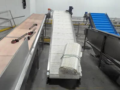 30" W Incline Modular Belt Conveyor