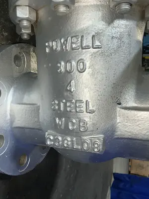 Used POWELL WCB 300 Pumps Ohio US | HGR 24 #1516924