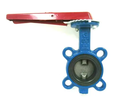 NEW GH 1101 BUTTERFLY VALVE 2-1/2"