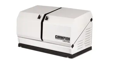 NEW CHAMPION 100838