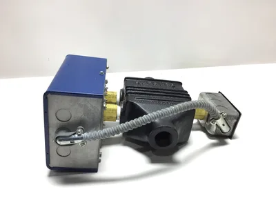 Safgard 250 Cut Off Pump Control 250 PSI Max Steam Pressure
