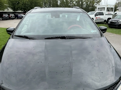 Used 2019 CHRYSLER PACIFICA Vans Michigan US | Miedema Asset Management Group #1402791