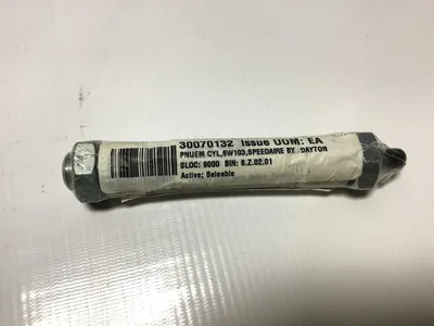 Speedaire 6W103 Stainless Steel Pneumatic Air Cylinder