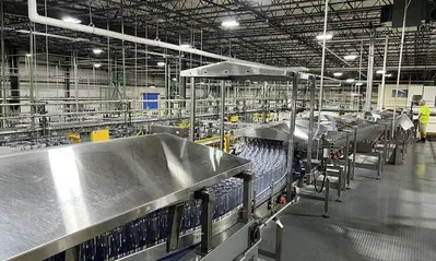 Descon Combiner Single Filer Conveyor