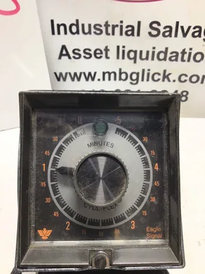 Eagle Signal Cycl-Flex Analog Timer 0 to 45 Minutes