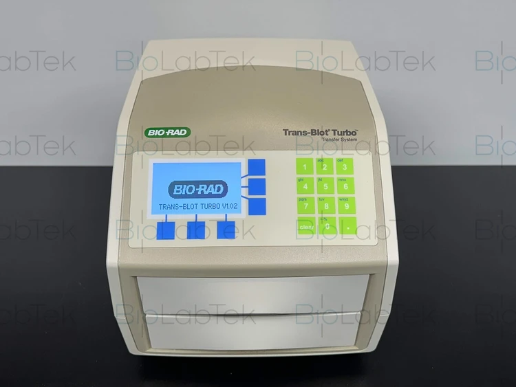 Used Bio-Rad Trans-Blot Turbo Electrophoresis Missouri US | BioLabTek #805315