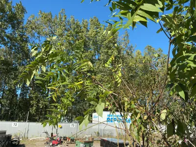 Used _UNKNOWN_ _UNKNOWN_ Farm Supplies Michigan US | Miedema Asset Management Group #1476009