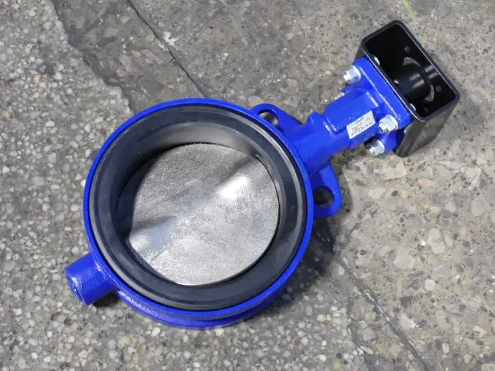 6" Actuator Valve
