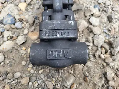 NEW 2019 DHV F1801T73