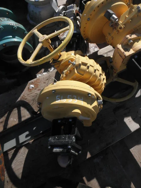 NEW TYCO 6" 300#