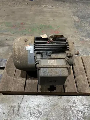 USED EMERSON SQUIRREL CAGE