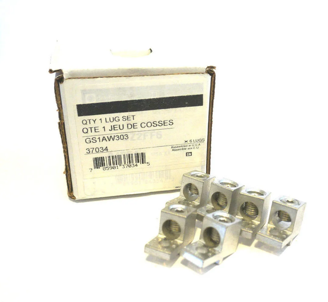 NEW TELEMECANIQUE GS1AW303 LUG SET